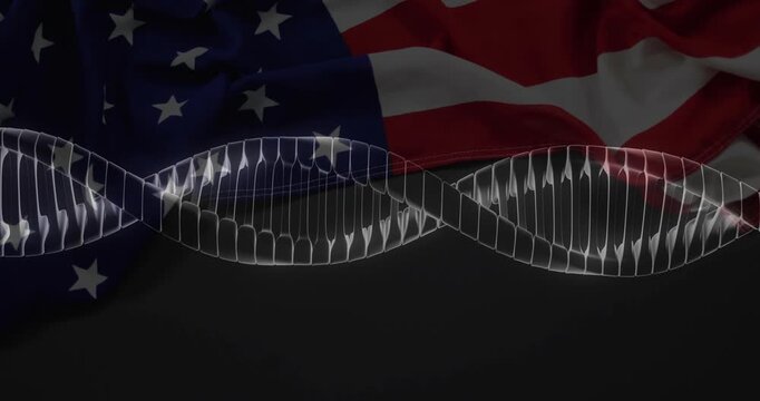 Translucent 3D double helix oscillating laterally after light pulse, mirroring US flag colors