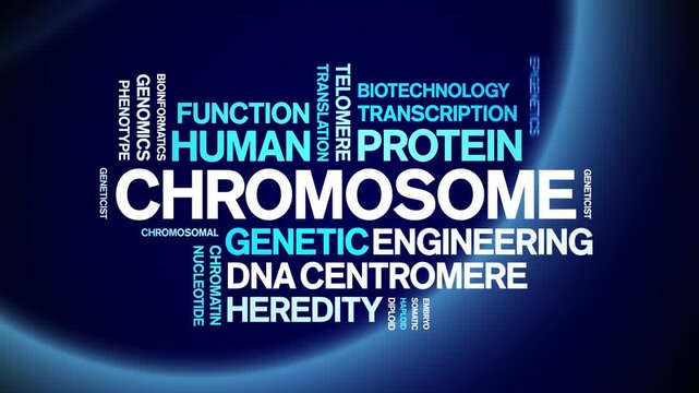 Chromosome animated word cloud-text design animation tag kinetic typography seamless loop.