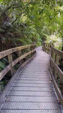 Wooden boardwalk trail surrounded by native forest at Hokitika Gorge, West Coast of New Zealand&rsquo;s South Island.
