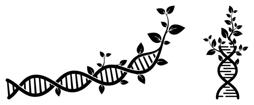 DNA double helix structure morphing into growing plant vines with leaves symbolizing bioengineering