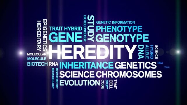 Heredity animated word cloud-text design animation tag kinetic typography seamless loop.
