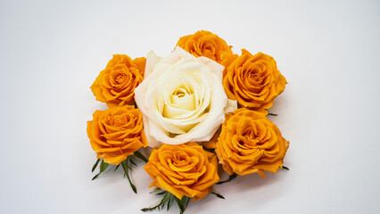 Fototapeta premium 白薔薇とオレンジ薔薇 白背景 マクロ撮影