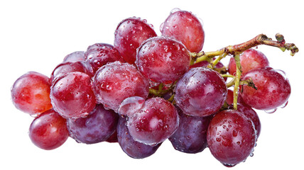A fresh bunch of ripe red grapes, a juicy organic cluster isolated on a white background, perfect for a healthy sweet dessert or raw vegetarian snack from the vine