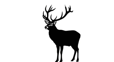 Obraz premium Majestic Deer with Large Antlers.