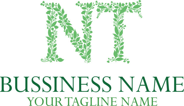 NT initials monogram letter text alphabet logo design.