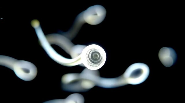 Human reproductive system sperm cells navigating trough female ovum for fertilization. Sperm and egg cell on abstract scientific Background. 3D render. Life and biology, medical scientific, molecular 