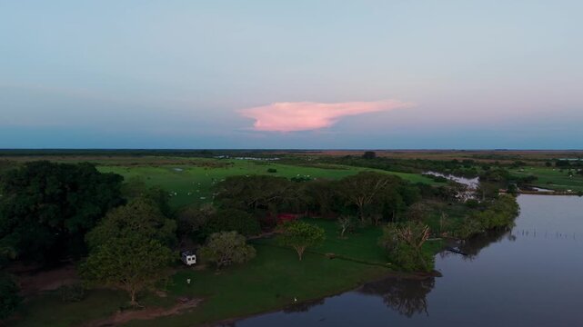 Drone view of the vast green plains and river in los llanos, colombia, during a beautiful sunset