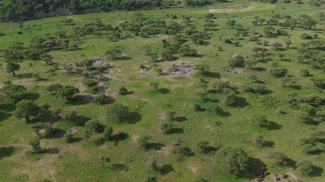 Drone shot of Tarangire National Park slowly panning over the landscape during green season