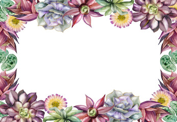 Obraz premium Rosette succulents, lithops living stones, daisy flowers botanical edge. Isolated frame hand drawn in watercolor for wedding invitations, organic product labels, plant care cards, boutique stationery.