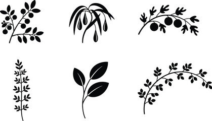 Botanical branch icons set featuring olive berry willow leaves floral vector silhouette collection decorative nature illustration isolated © Nilufa Creative