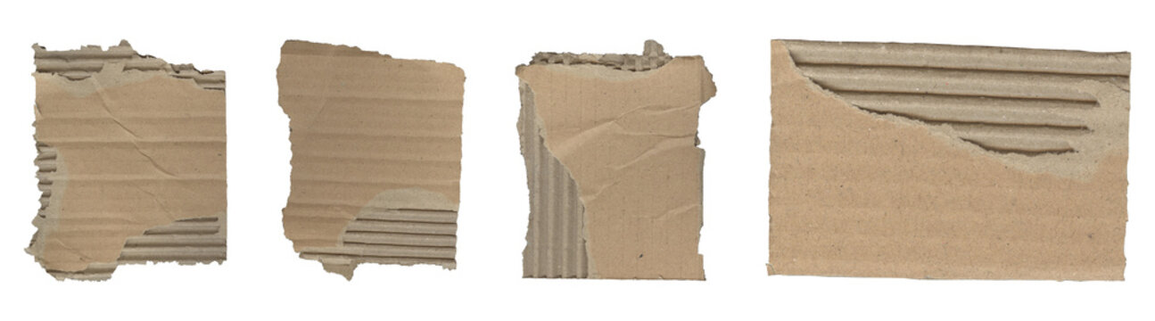 Set of four pieces of torn corrugated cardboard isolated on a transparent background