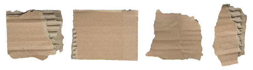 Torn cardboard fragments crumpled and torn on transparent