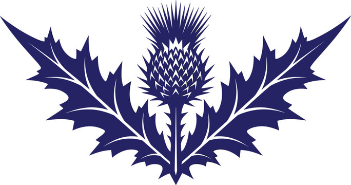 Elegant Scottish thistle silhouette vector illustration with symmetrical leaves traditional floral emblem isolated design for heritage branding
