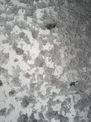 Obraz premium A detailed top-down or close-up shot of melting snow and wet slush forming abstract white and grey patterns on a transparent glass surface, capturing the raw texture of a cold winter precipitation
