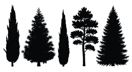 Variety of coniferous trees depicted in a dark striking silhouette © MDSAJIB