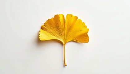 Naklejka premium Golden Ginkgo Leaf on White Background Symbolizing Autumn Wellness and Natural Beauty.