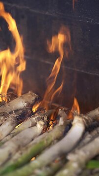 Close-up of traditional Catalan cal&ccedil;ots being cooked on a wood-fired grill with large flames until toasted in a typical Mediterranean winter barbecue, the "Cal&ccedil;otada".
