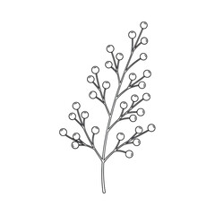 Obraz premium Delicate line drawing of a blooming twig with small flowers and buds