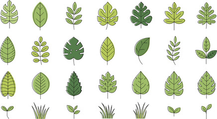 Collection of various green and yellow leaves and plants arranged in a grid pattern nature © MdSar