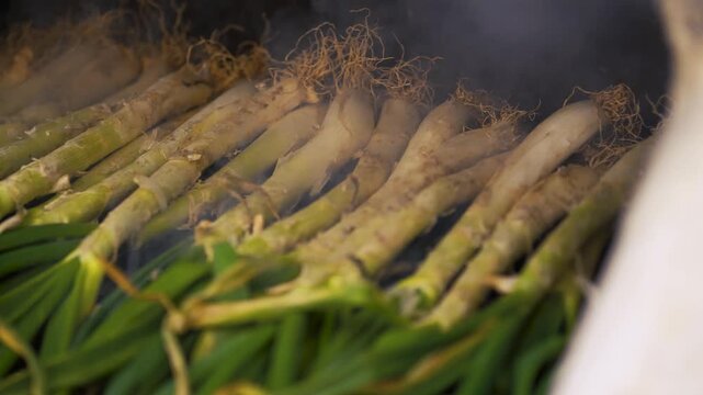 Close-up of rows of fresh Catalan cal&ccedil;ots or Catalan onions on a grill in the process of placing them on a traditional barbecue to be roasted with dense smoke before the flames for a cal&ccedil;otada.