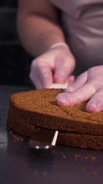 A female baker cuts a sponge cake to bake a cake.