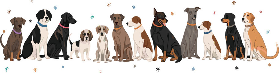 Different dog breeds group vector illustration with cute domestic dogs sitting together isolated on light background