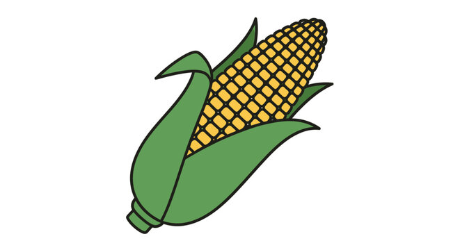 Illustration of a single ear of corn with green husks and yellow kernels