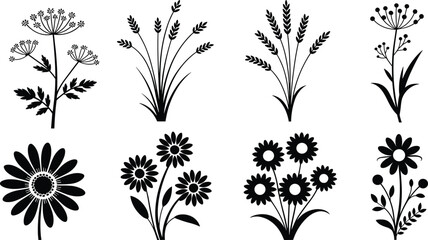 Black and white of various flowers and plants botanical