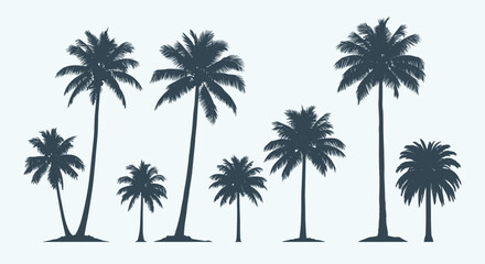 Obraz premium Silhouettes of various species of tropical palm trees of different sizes and shapes on a light background.