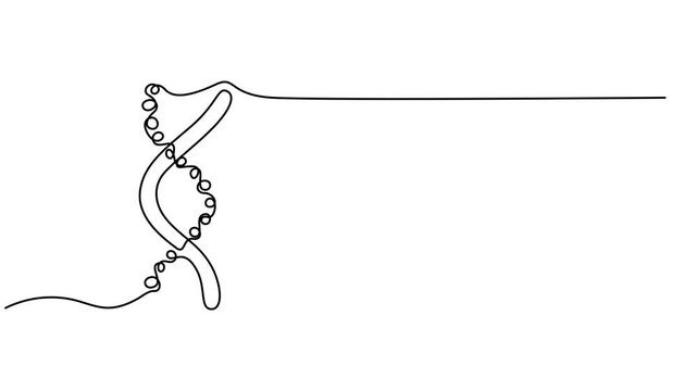 Dna helix continuous one line art animation loop minimalist science motion video clip, Full length animated, Self drawing animation of single line draw helix or DNA. Low poly wireframe. Biotech, pro.