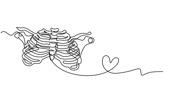 human chest and ribs anatomy animation continuous one line drawing, Single one line drawing rib cage anatomy. Human organ concept. Continuous line draw design graphic vector illustration. minimalist.
