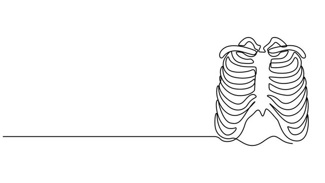 human chest and ribs anatomy animation continuous one line drawing, Single one line drawing rib cage anatomy. Human organ concept. Continuous line draw design graphic vector illustration. minimalist.