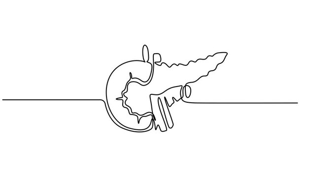 Human pancreas one line art. Continuous line drawing of human, internal, organs, pancreas, full length animation video, motion graphic, one line art Pancreas vector illustration. line art, one minimal