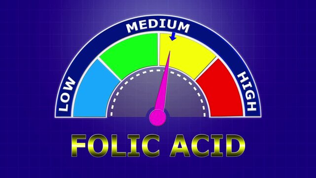 4K Animated Folic Acid Level Meter Increasing from Low to High Levels , Assessing Vitamin B9 for Anemia Prevention and Cellular Health.