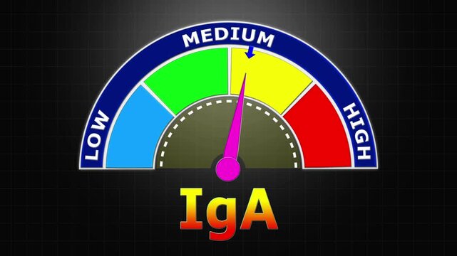4K Animated IgA Level Meter Increasing from Low to High Levels , Assessing Mucosal Immunity and Infection Protection.