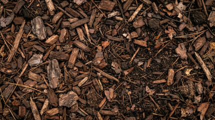 Fototapeta premium Organic Wood Chip Mulch Texture Background