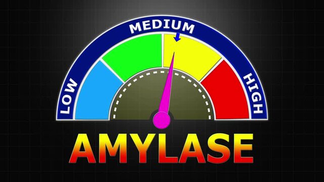 4K Animated Amylase Level Meter Increasing from Low to High Levels , Evaluating Pancreatic Function and Digestive Health.