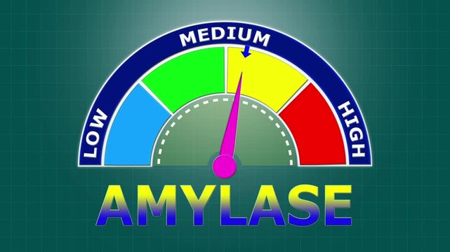 4K Animated Amylase Level Meter Increasing from Low to High Levels , Evaluating Pancreatic Function and Digestive Health.