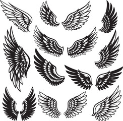 Fototapeta premium wings silhouette vector