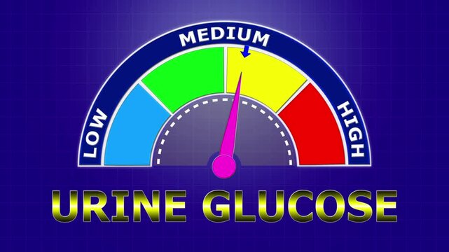 4K Animated Urine Glucose Level Meter Increasing from Low to High Levels , Monitoring Glucosuria for Diabetes and Renal Threshold Assessment.