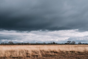 Fototapeta premium Storm clouds gather above a dry grass field with barren trees on the horizon. Ominous weather scene, natural disaster concept.