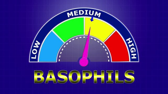 4K Animated Basophils Count Meter Increasing from Low to High Levels , Monitoring Allergic Reactions and Immune Response Triggers.