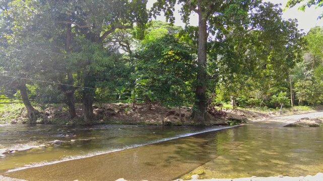 Slow sunny landscape in la batea chuao aragua venezuela tropical rainforest nature travel destination
