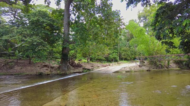 Panoramic landscape of forest, water source at la batea chuao aragua venezuela
