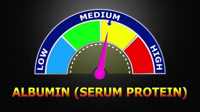 4K Animated Albumin (Serum Protein) Level Meter Increasing from Low to High Levels , Evaluating Liver Function and Nutritional Status through Serum Protein Levels.