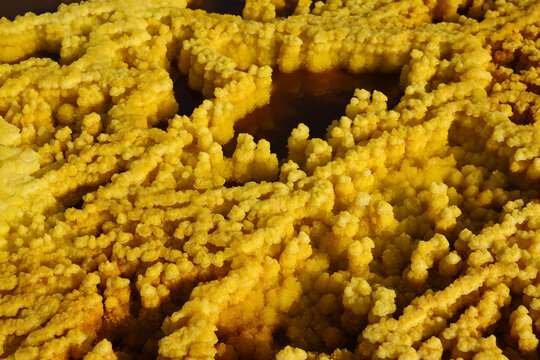The colors of salt generated by the mineral-laden vapors of Dallol Volcano, Ethiopia