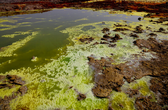 The colors of salt generated by the mineral-laden vapors of Dallol Volcano, Ethiopia