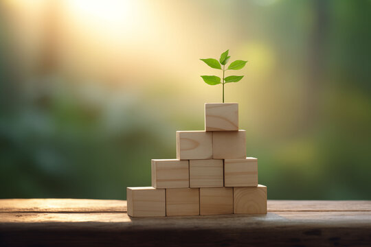 An analogous growth strategy using stacked blocks incrementally.