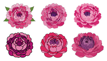 Collection of detailed pink peony blossoms in vibrant Polish folk floral style