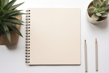 A simple workspace setup with a generic notebook.